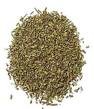 Thyme - Thymus vulgaris